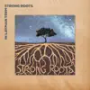 In Layman Terms - Strong Roots